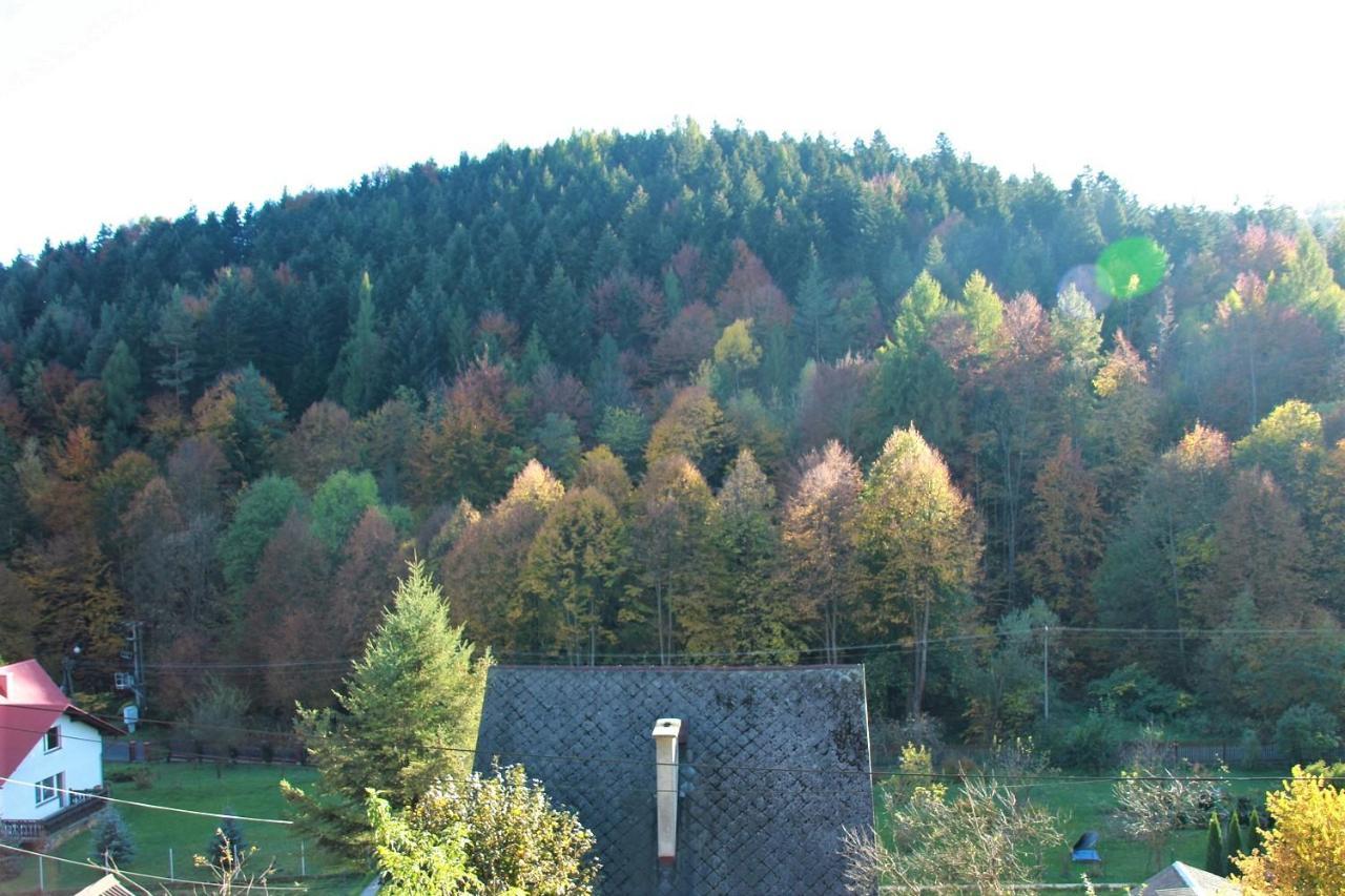 Letniskowa 10 Villa Czernichow  Exterior foto